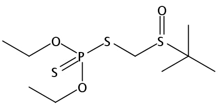 Terbufos sulfoxide (MET-13510B)