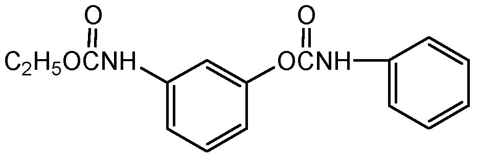 Desmedipham (N-11584)
