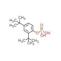 Mono(2,4-di-tert-butylphenyl)phosphate (N-14350)