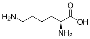 L-Lysine (N-14460)