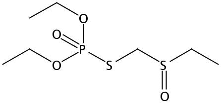 Phorate oxon sulfoxide (MET-13035E)