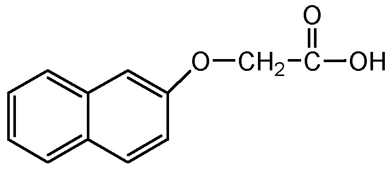 2-Naphthoxyacetic acid (N-10437)