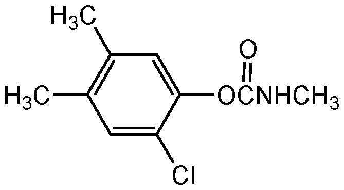 Carbanolate (N-11122)
