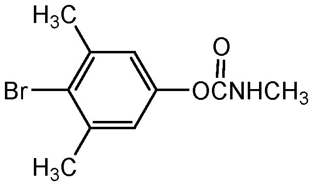 BDMC (N-11131)