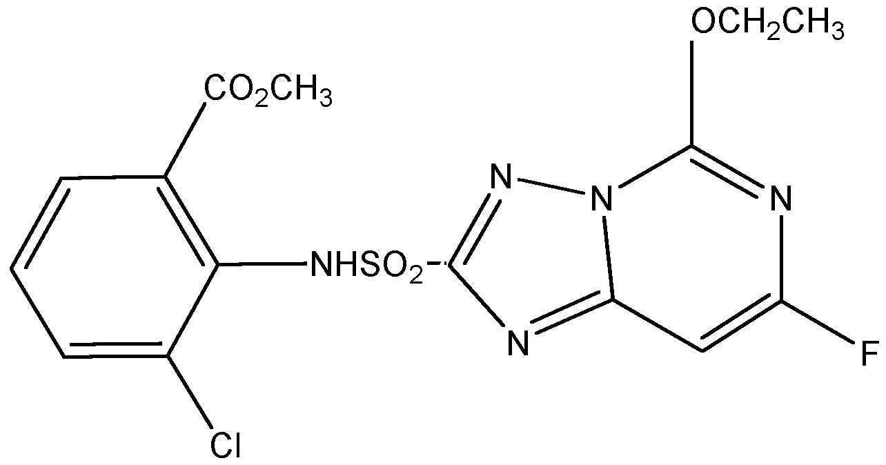 Cloransulam-methyl (N-11492)