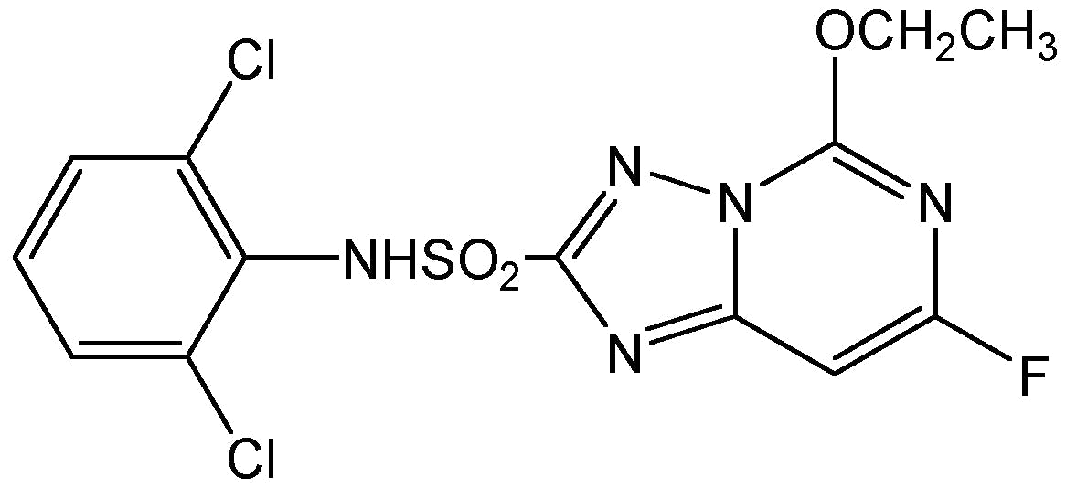 Diclosulam (N-11679)