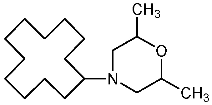 Dodemorph (N-11839)