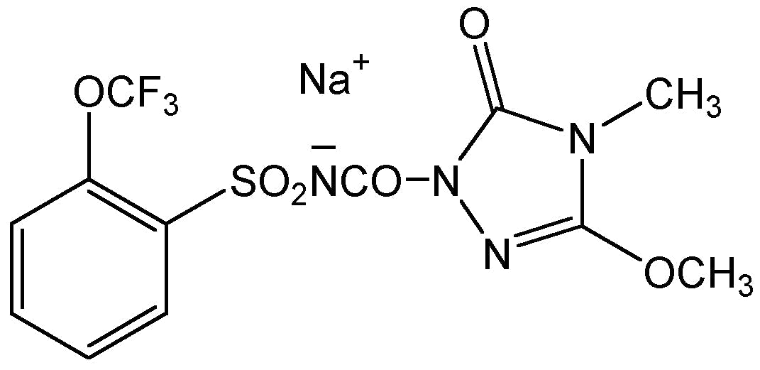Flucarbazone-sodium (N-11982)