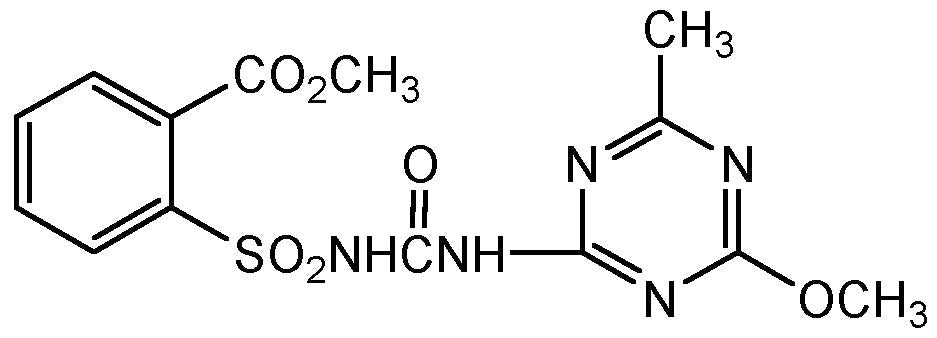 Metsulfuron methyl (N-12482)
