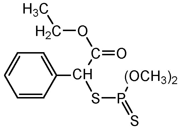 Phenthoate (N-13006)