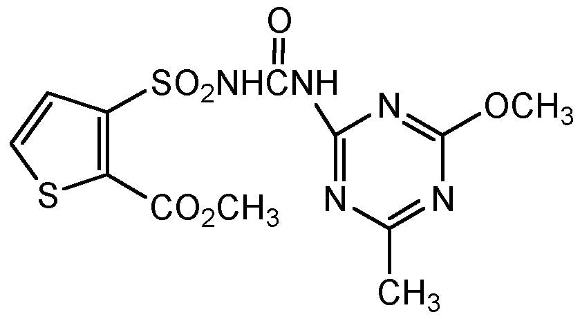 Thifensulfuron-methyl (N-13056)