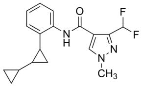Sedaxane (N-13068)