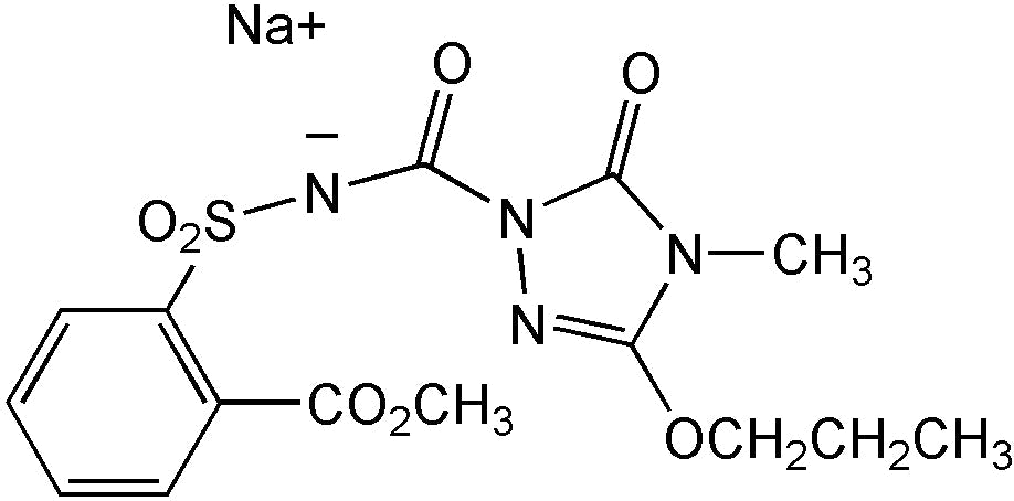 Propoxycarbazone-sodium (N-13119)