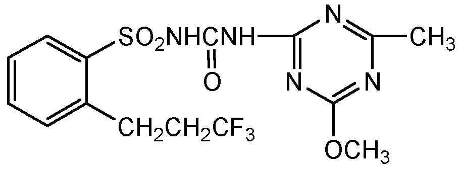 Prosulfuron (N-13137)