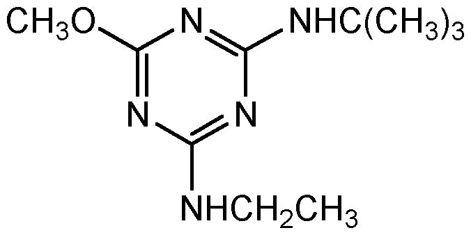 Terbumeton (N-13511)