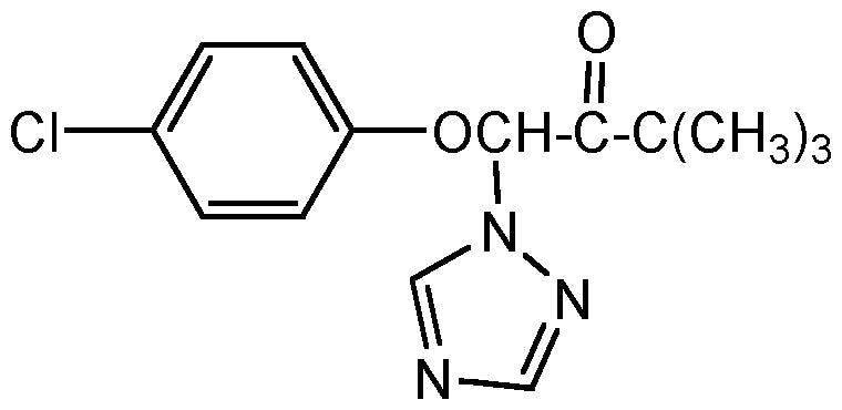 Triadimefon (N-13636)