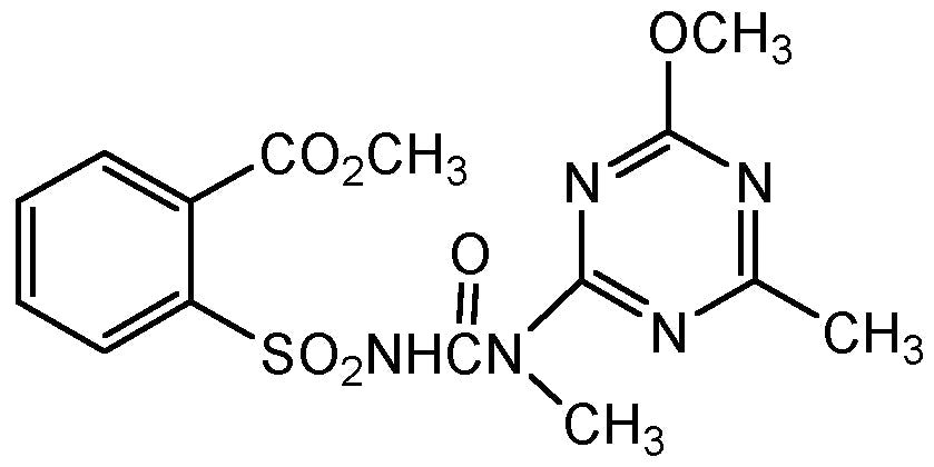 Tribenuron methyl (N-13640)