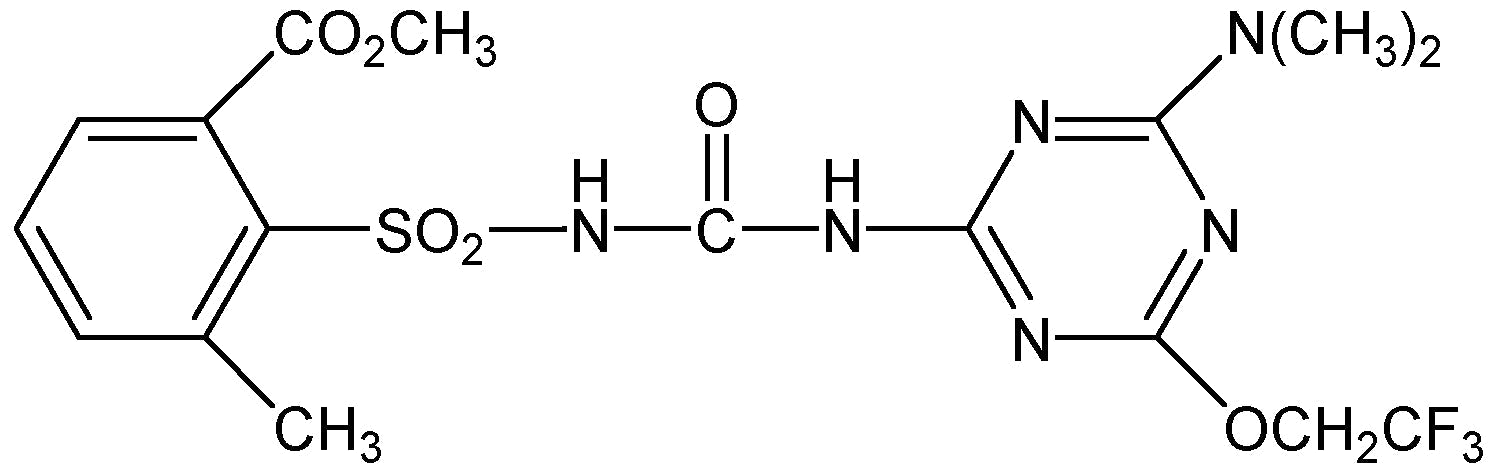 Triflusulfuron-methyl (N-13690)