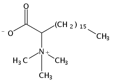 Cetyl betaine (NG-S565)